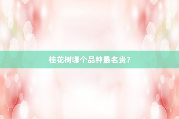 桂花树哪个品种最名贵？