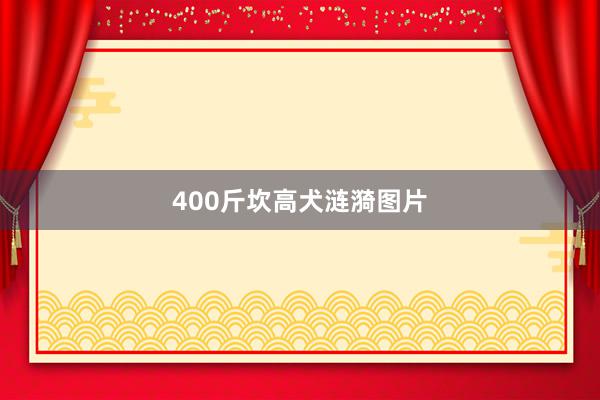 400斤坎高犬涟漪图片