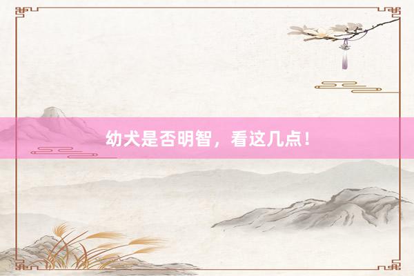 幼犬是否明智，看这几点！