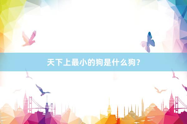 天下上最小的狗是什么狗？