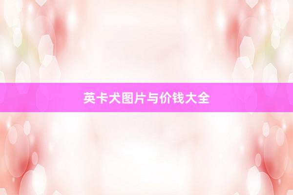英卡犬图片与价钱大全